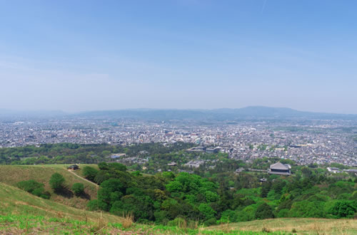 春日山原始林ハイキング