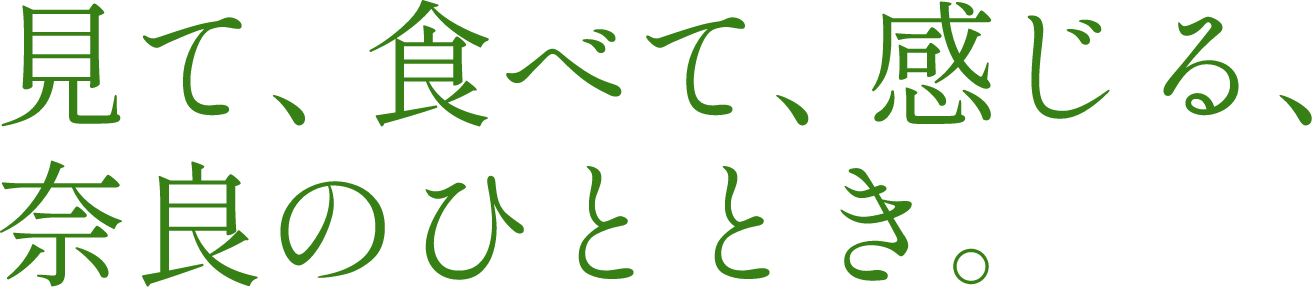 見て、食べて、感じる、奈良のひととき。