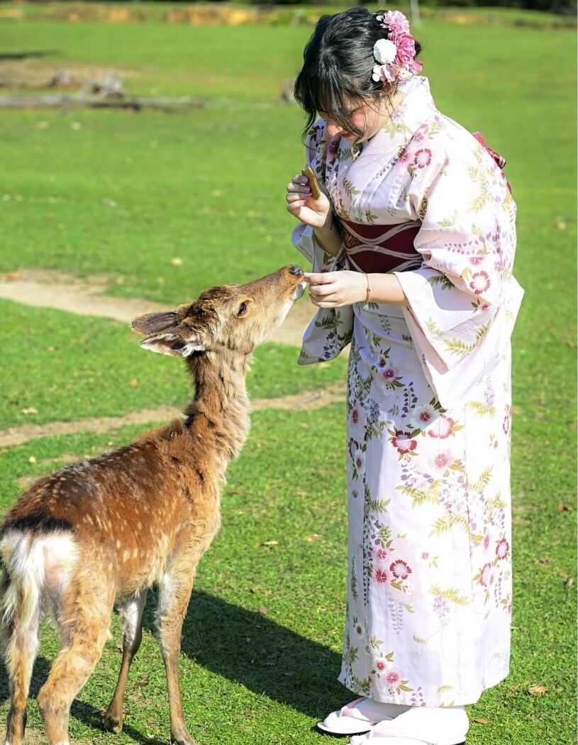 着物レンタルで奈良公園へ