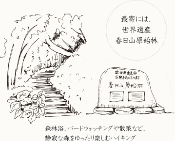 最寄りには、世界遺産春日山原始林。森林浴やバードウォッチングや散策など、静寂な森をゆったり楽しむハイキングを。