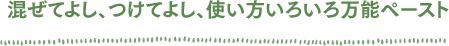 混ぜてよし、つけてよし、使い方いろいろ万能ペースト