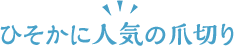 ひそかに人気の爪切り