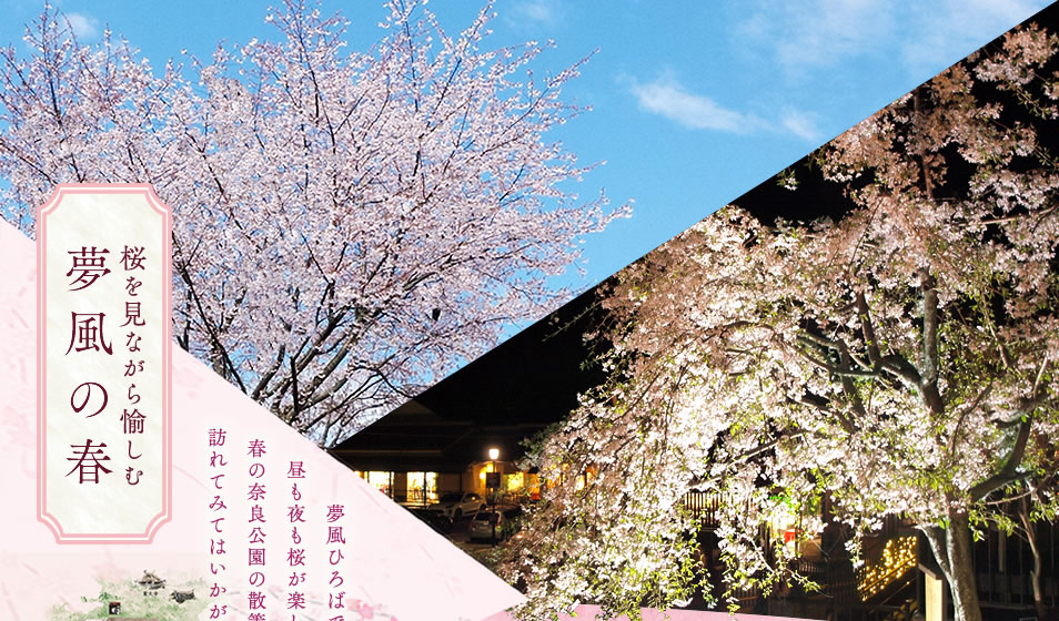 桜を見ながら愉しむ夢風の春 夢風ひろばでは、昼も夜も桜が楽しめます。春の奈良公園の散策のご休憩に訪れてみてはいかがでしょうか。