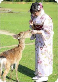 着物イメージ写真