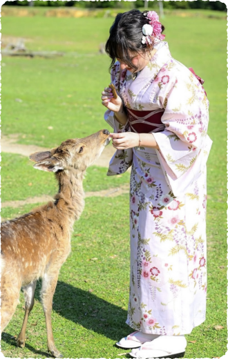 着物イメージ写真